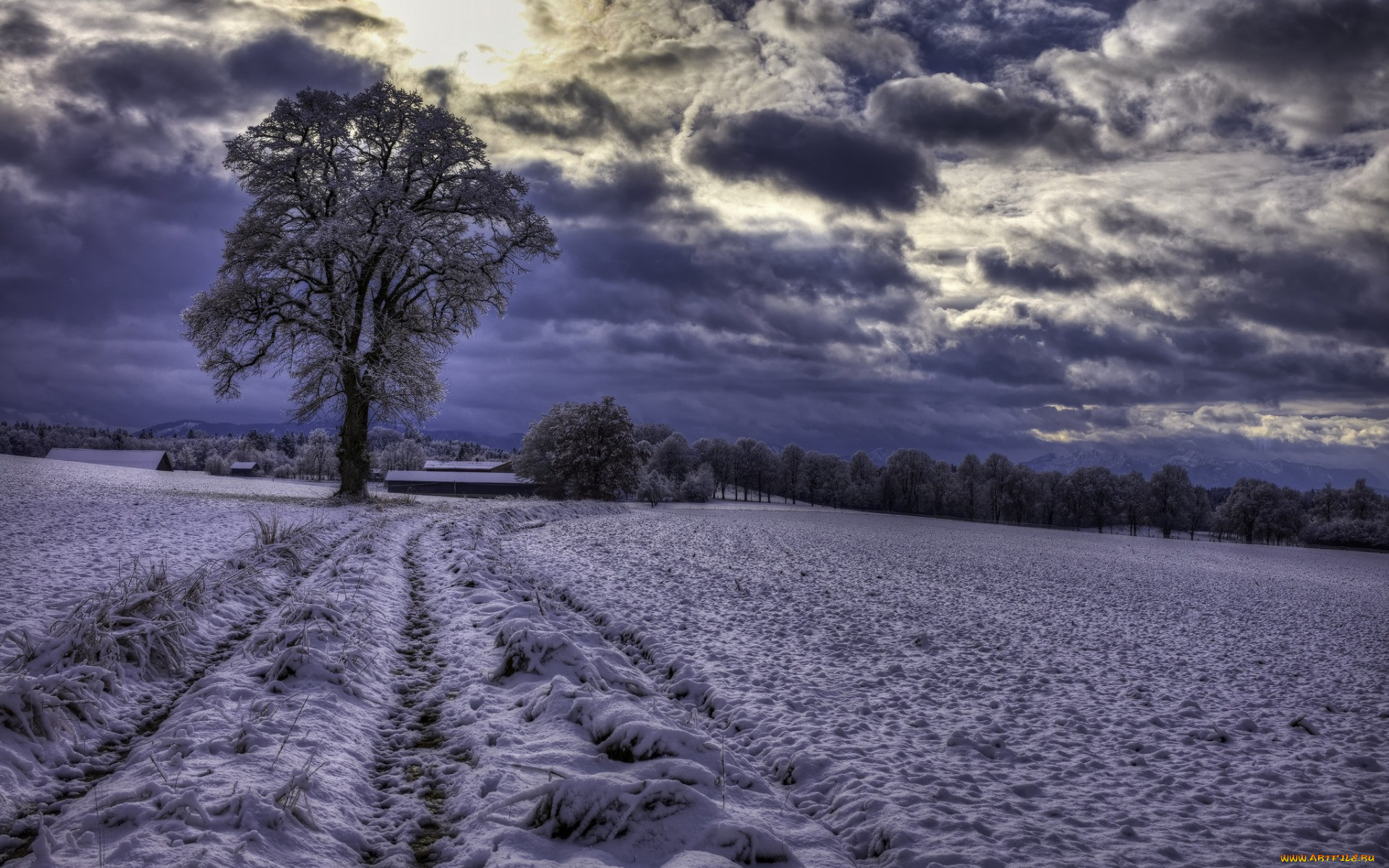 , , bavaria, germany, , , schwaigwall, , 